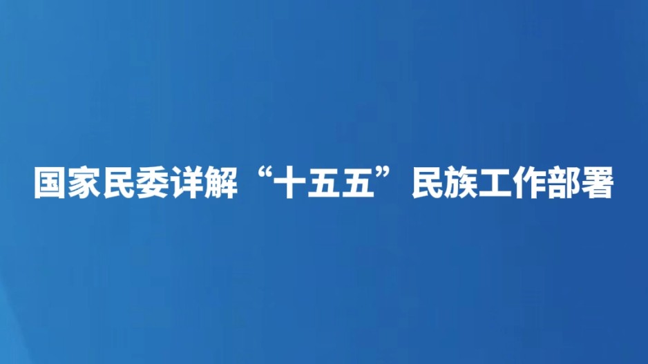 国家民委详解 “十五五” 民族工作部署