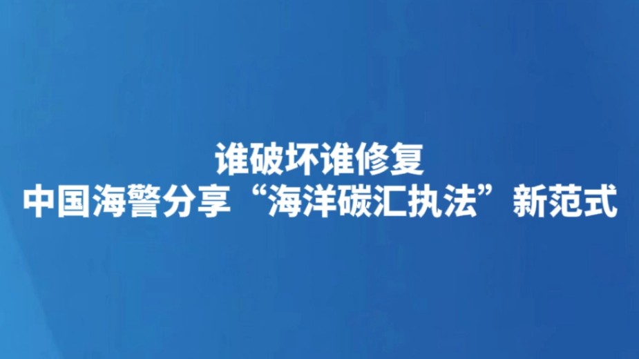 谁破坏谁修复 中国海警分享“海洋碳汇执法”新范式