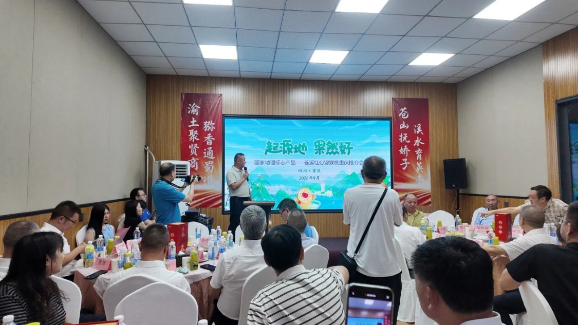 渝见红心·味享苍溪，苍溪红心猕猴桃在重庆受青睐！