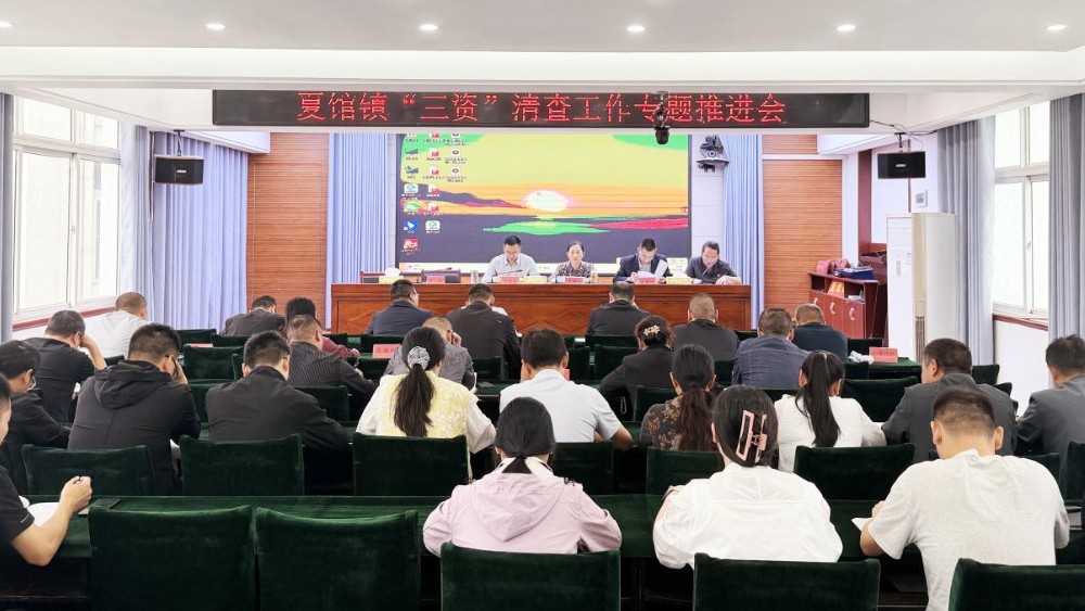 河南省南阳市内乡县法院：司法赋能“三资”治理 法治护航乡村振兴