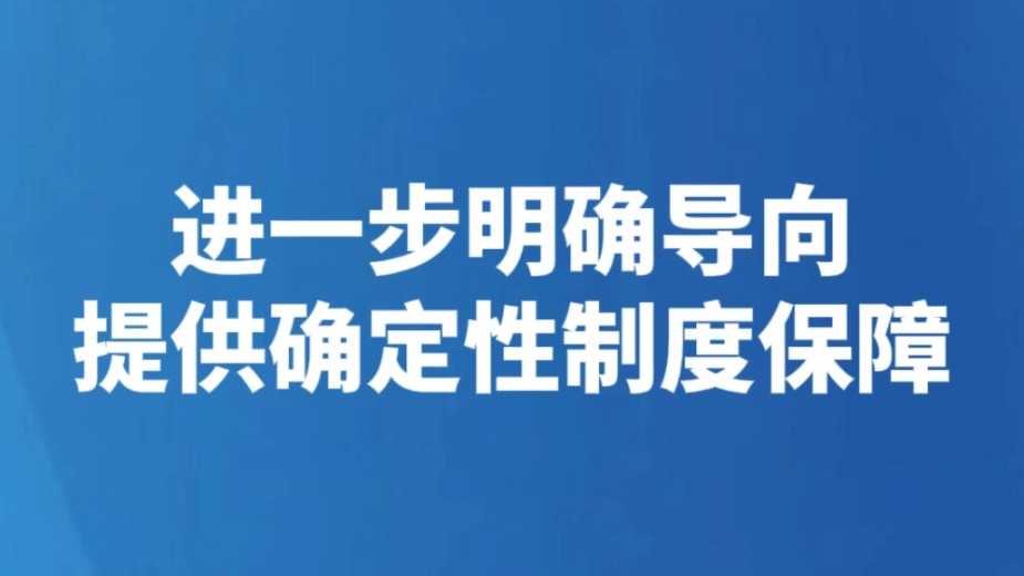 进一步明确导向提供确定性制度保障