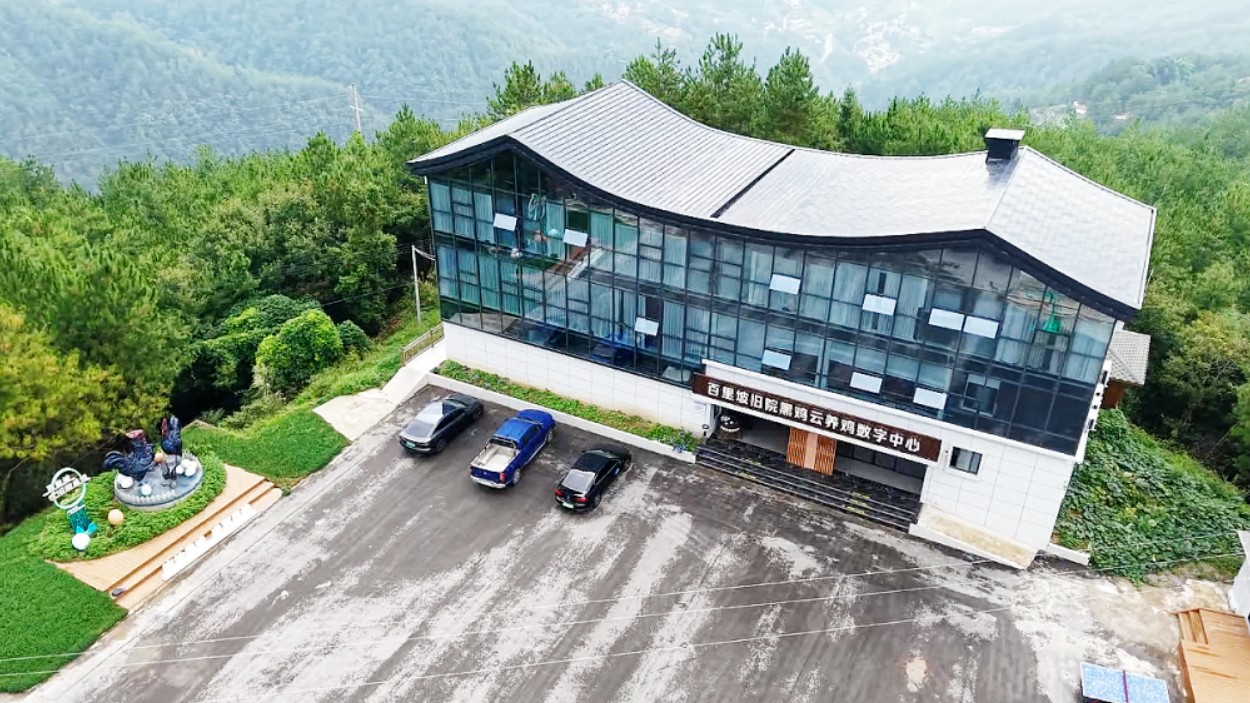 四川万源：山海携手深耕，浙川协作铺就共富新画卷