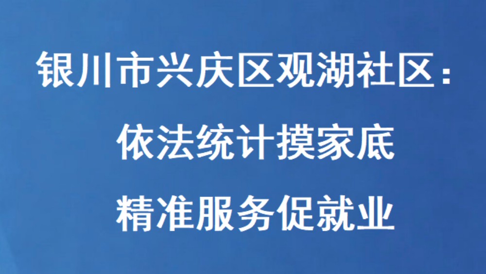 银川市兴庆区观湖社区：依法统计摸家底 精准服务促就业