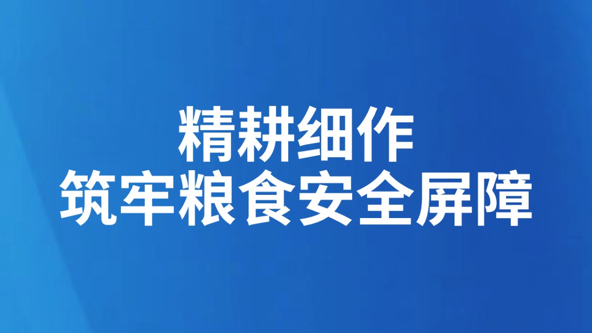 精耕细作筑牢粮食安全屏障