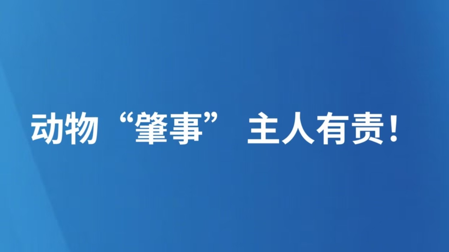 动物“肇事” 主人有责！
