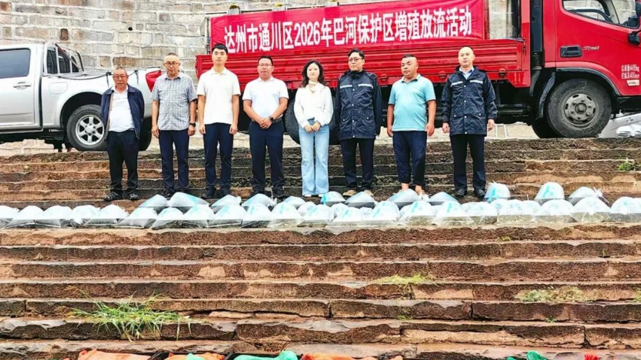 助力生态养护，共促渔业发展！达州通川增殖放流各类鱼苗15万尾