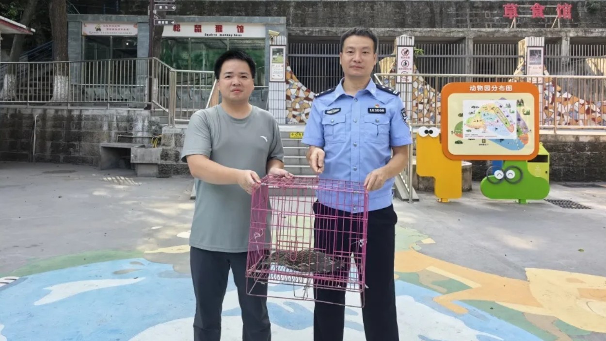田里落下只大鸟，飞不起来，来头还不小