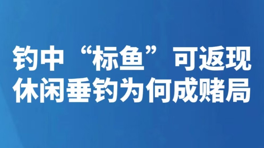 钓中“标鱼”可返现 休闲垂钓为何成赌局