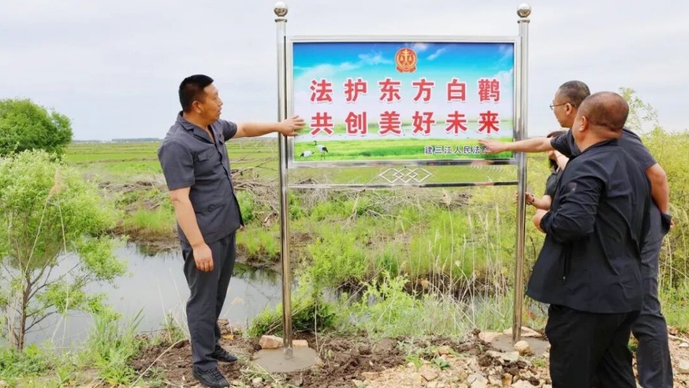 建三江生态环境司法保护基地：以司法之力守护“东亚之肾”