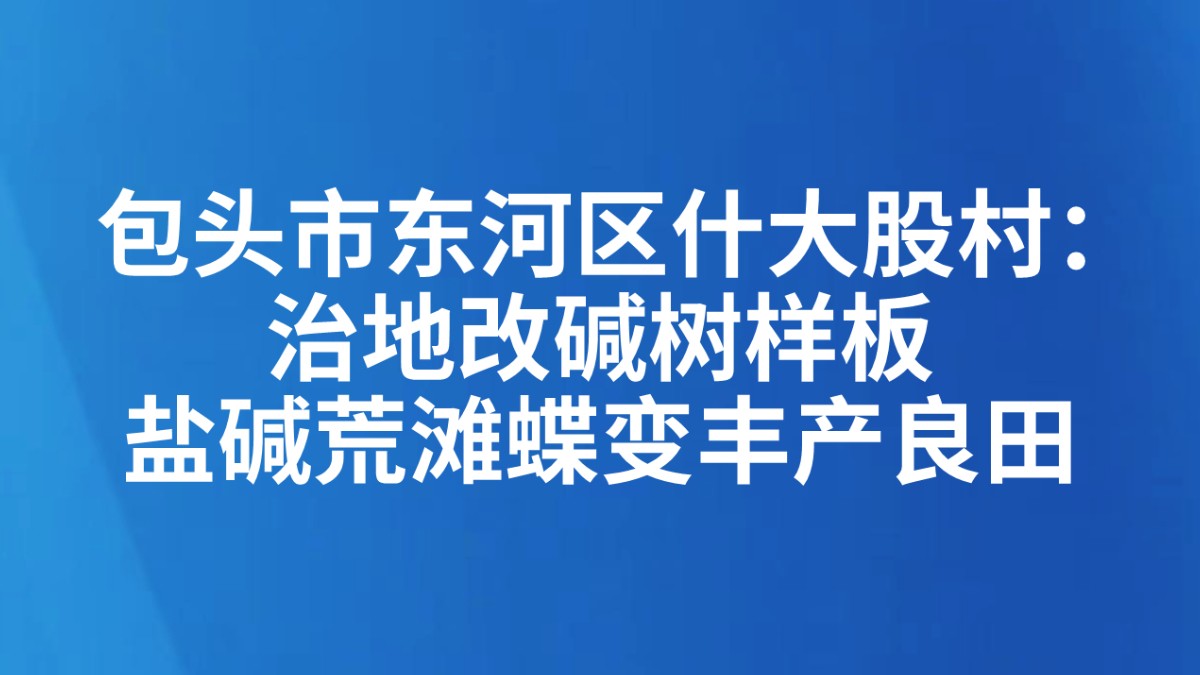 包头市东河区什大股村：治地改碱树样板 盐碱荒滩蝶变丰产良田