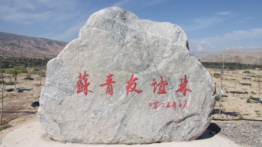 黄河岸边育新绿 苏青协作结硕果