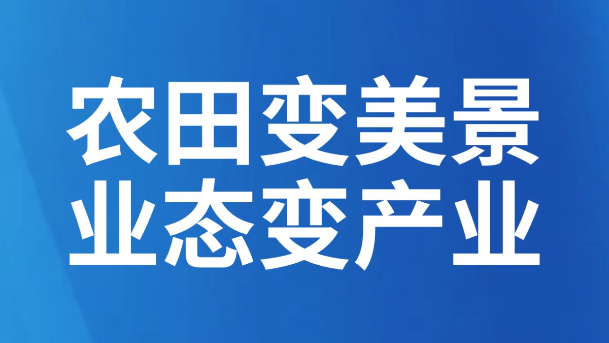 农田变美景 业态变产业