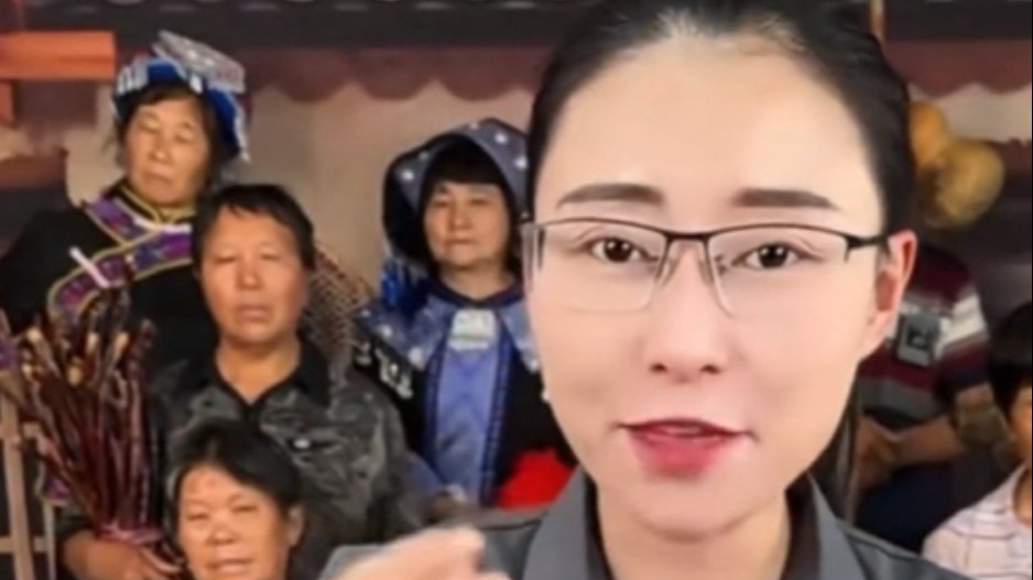 “我的村子我代言”?“假村干部”李某某被立案调查