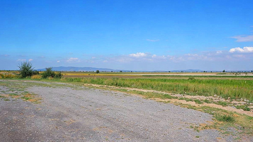 清理河湖“四乱”除隐患 守护黄河“安澜”显担当
