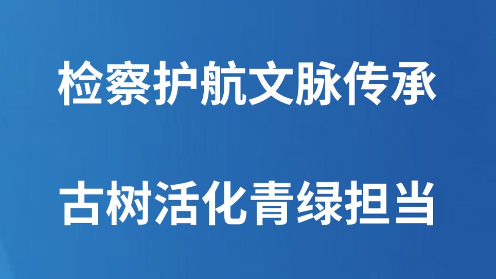 检察护航文脉传承 古树活化青绿担当