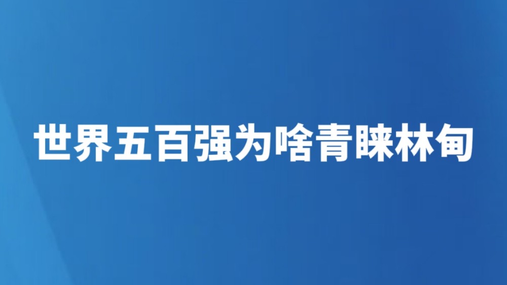世界五百强为啥青睐林甸