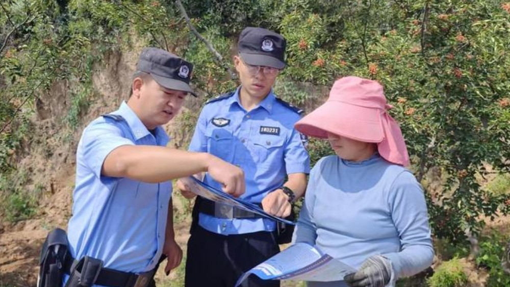 漫山椒红映警徽 ——韩城公安护航“大红袍”花椒产业高质量发展