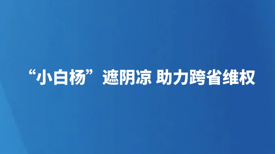 “小白杨”遮阴凉 助力跨省维权