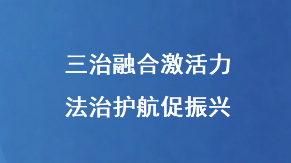 三治融合激活力 法治护航促振兴