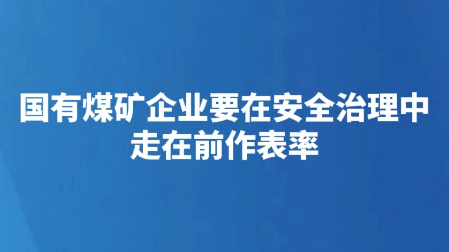 国有煤矿企业要在安全治理中走在前作表率