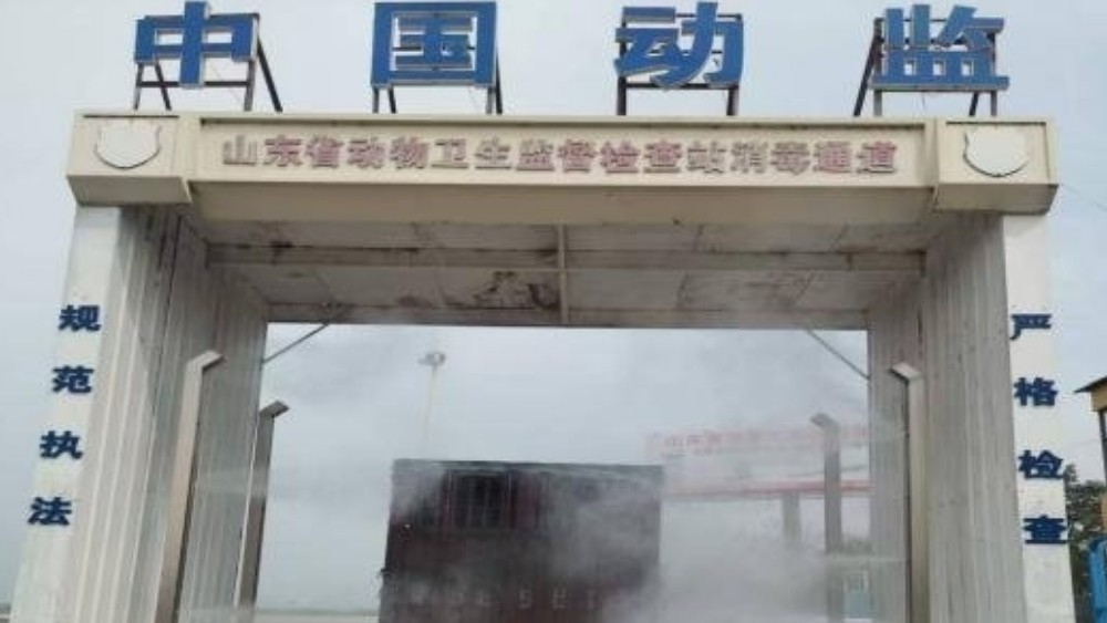 守好山东“南大门”！十余载坚守，筑牢鲁苏边界动物防疫屏障