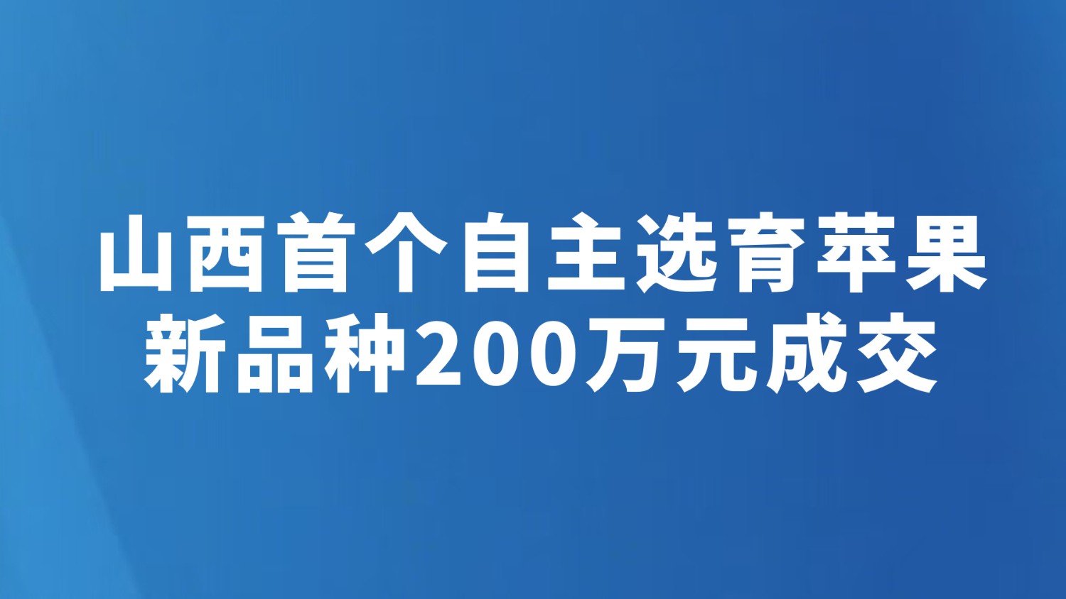 山西首个自主选育苹果新品种200万元成交