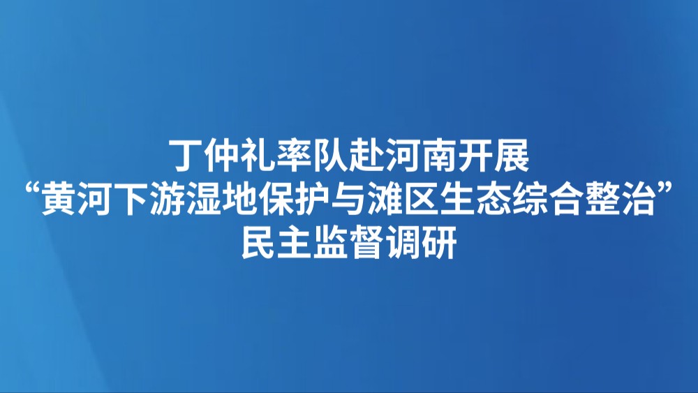 丁仲礼率队赴河南开展“黄河下游湿地保护与滩区生态综合整治”民主监督调研