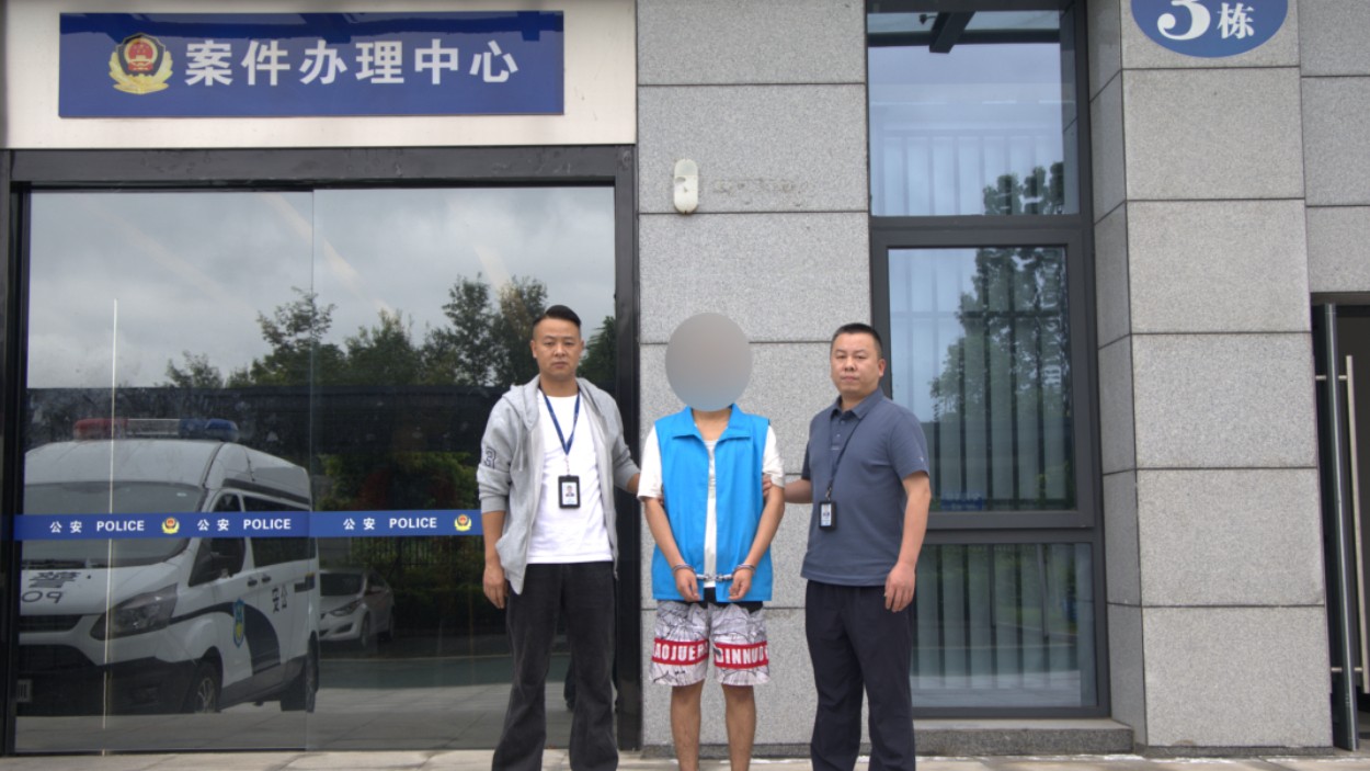 2小时内45次拨打110并辱骂接警员，四川西充一男子被拘12日