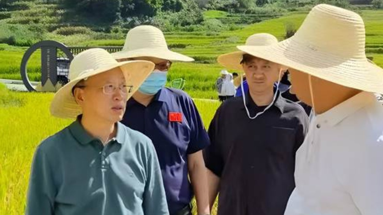 "体力劳动"为什么不能代替"体育运动"？