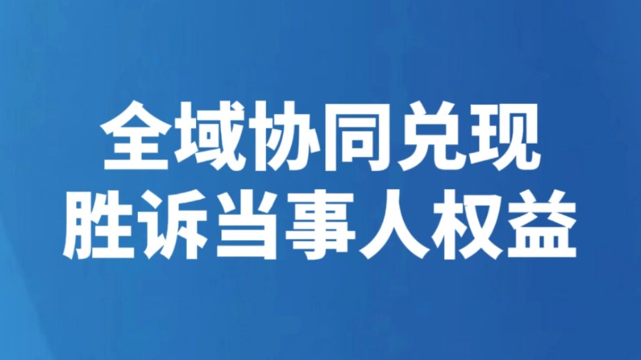 全域协同兑现胜诉当事人权益