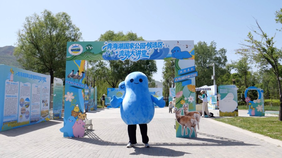 让城市看见远方的湖