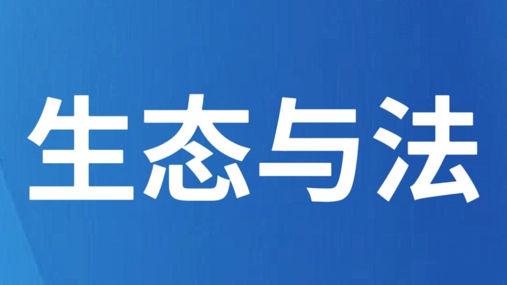 有采矿证也会有刑事风险？大量老板踩坑