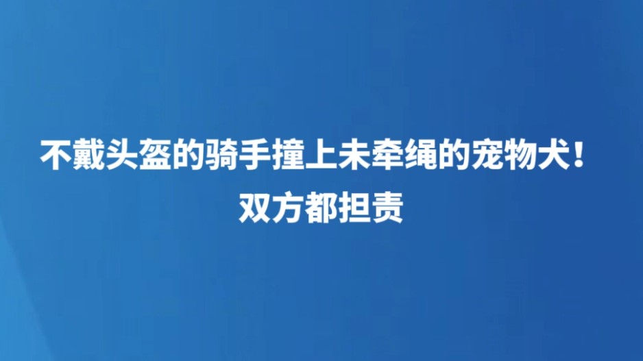 不戴头盔的骑手撞上未牵绳的宠物犬！双方都担责