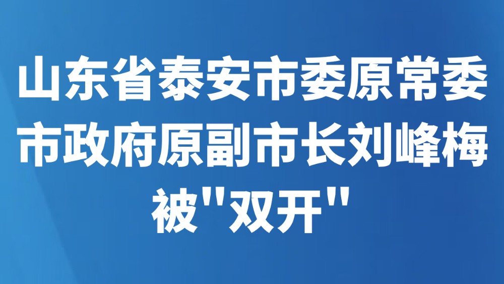 山东省泰安市委原常委、市政府原副市长刘峰梅被"双开"