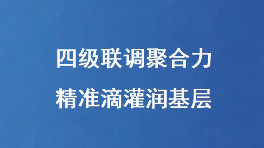 四级联调聚合力 精准滴灌润基层