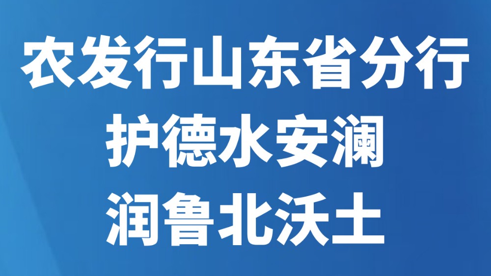 农发行山东省分行：护德水安澜 润鲁北沃土