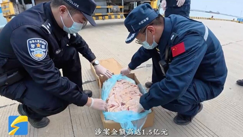 海上“幽灵船”现形记
