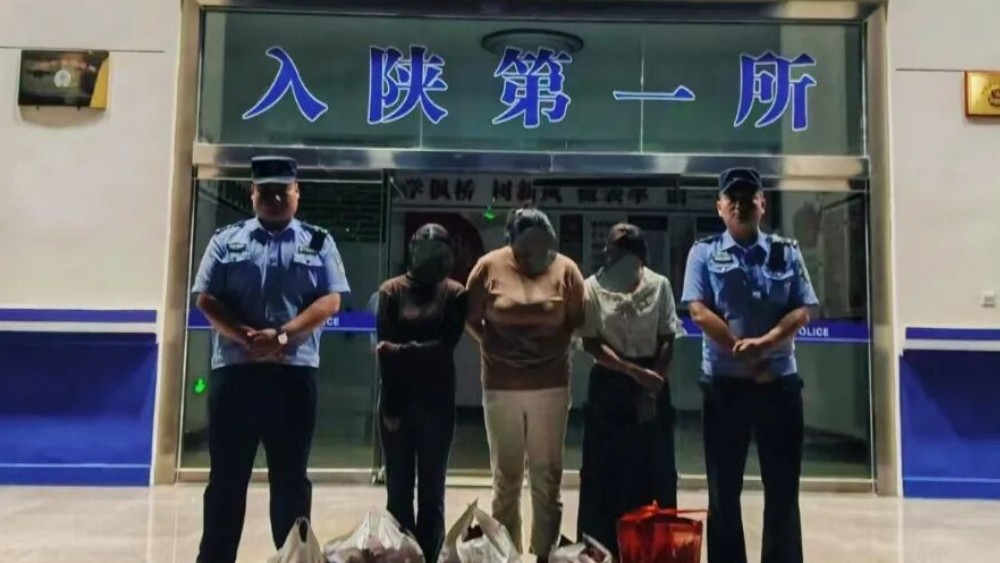 商南公安：6人“顺手牵桃”被行政处罚