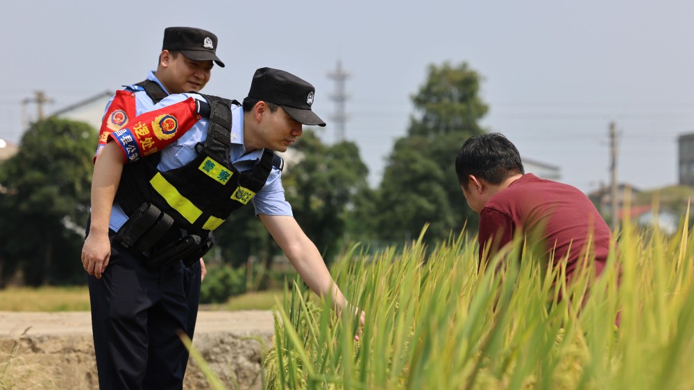 秋收护航正当时！南昌县公安局田间警务守护群众丰收平安