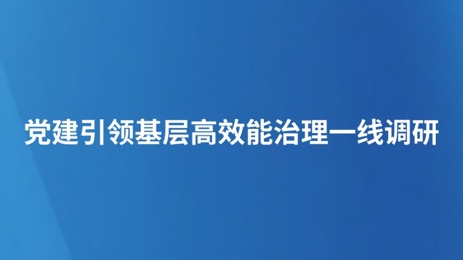 党建引领基层高效能治理一线调研