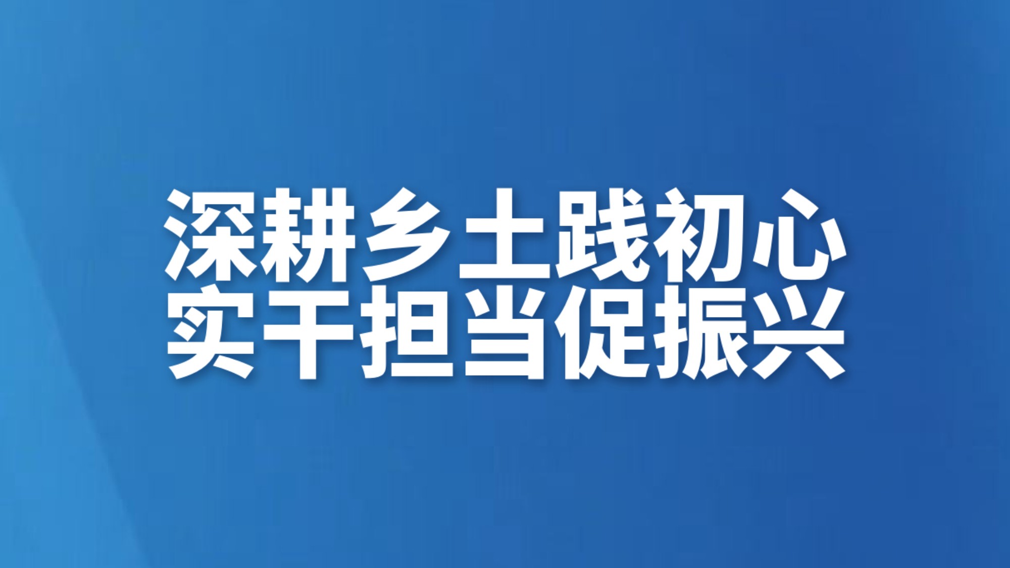 深耕乡土践初心 实干担当促振兴