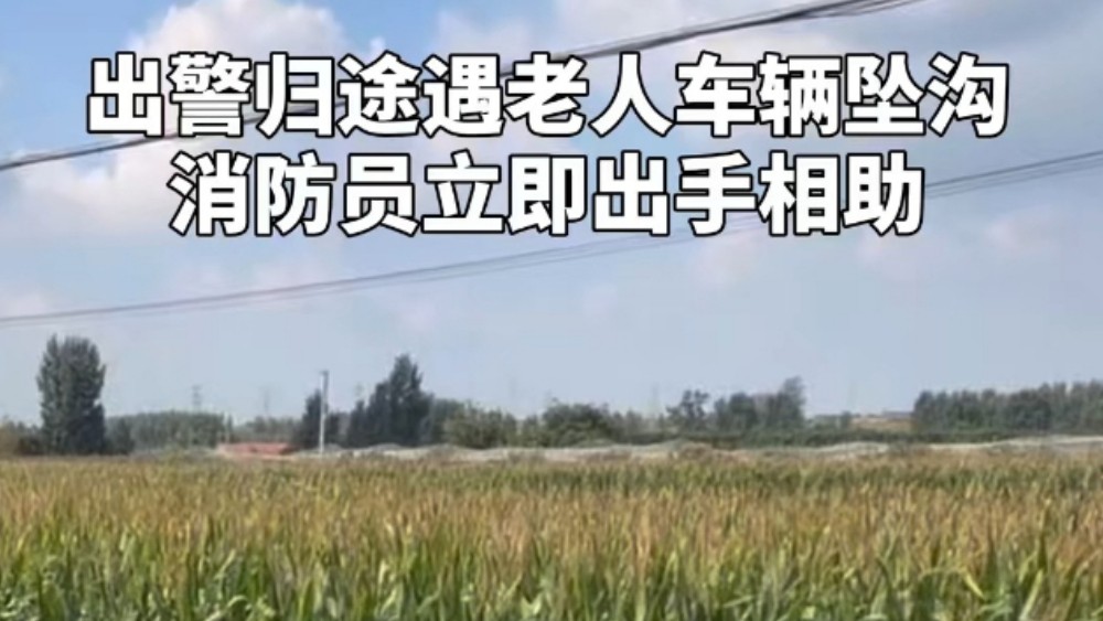 归途亦是救援路！烟台消防员出警返程救下坠沟老人