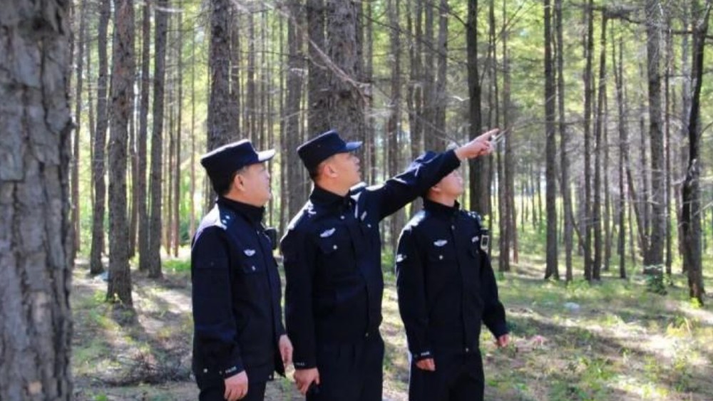 伊春公安：织密青山“防护网” 绘就秋日“平安色”