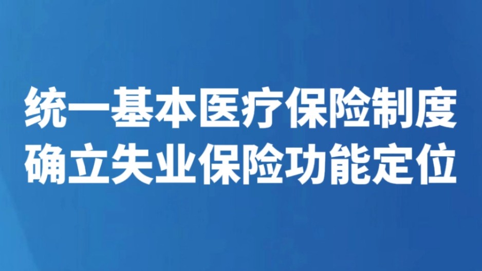 统一基本医疗保险制度 确立失业保险功能定位