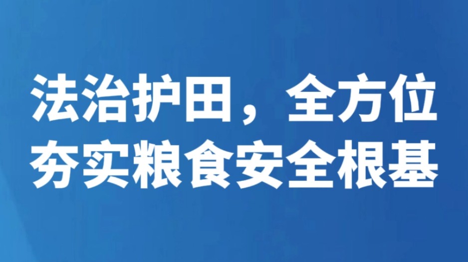 法治护田，全方位夯实粮食安全根基