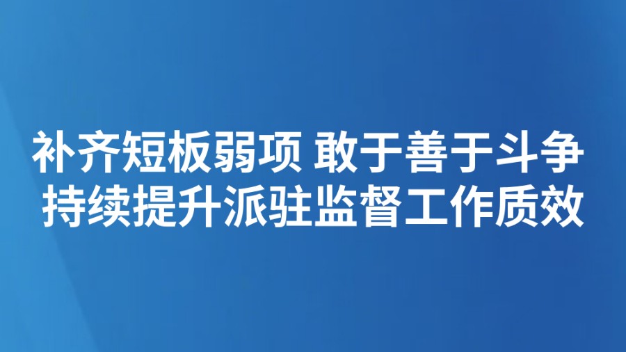 补齐短板弱项 敢于善于斗争 持续提升派驻监督工作质效