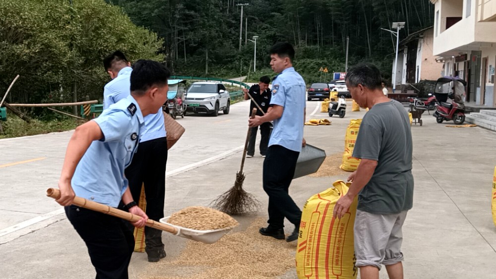 争分夺秒抢收粮！宜春奉新公安守护群众秋收成果