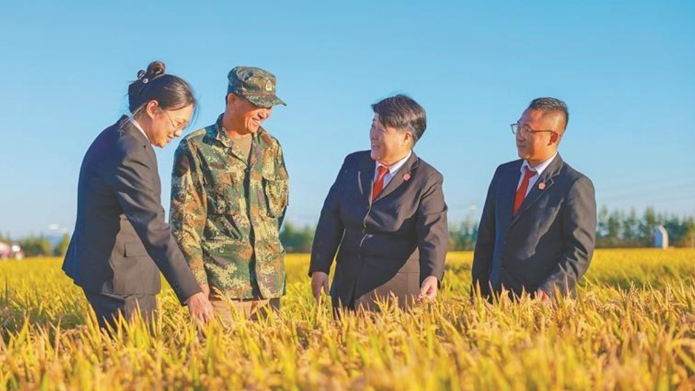 田间解民忧 法治护“丰”景
