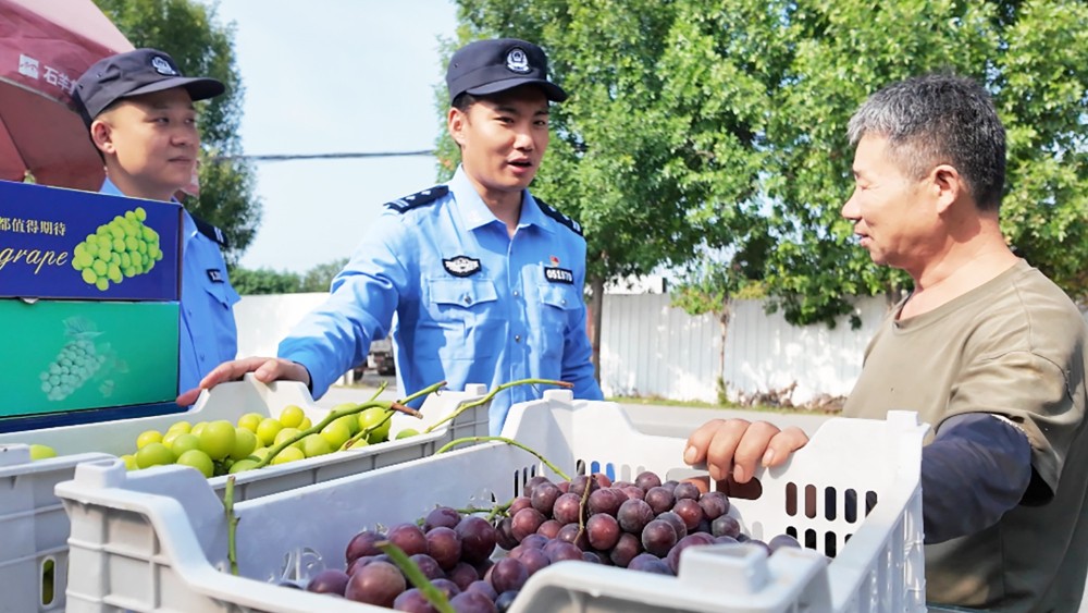 葡香满金秋 警务护丰收