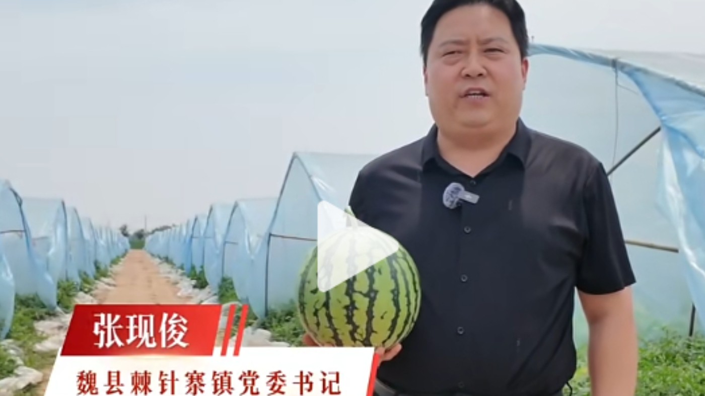 魏县棘针寨镇领导为家乡农产品代言